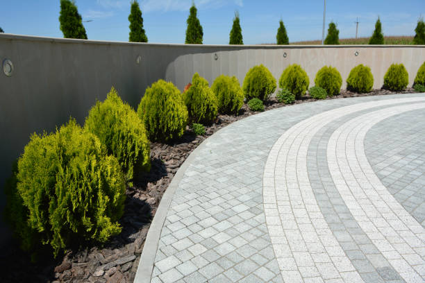 Best Driveway Repair Near Me  in New Ellenton, SC